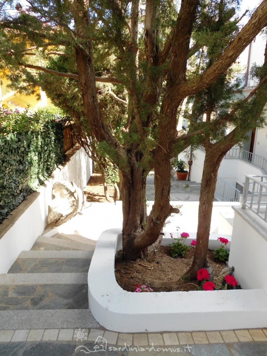 Casa Vacanza Sardegna - Casa Ginepri G - Cala Gonone