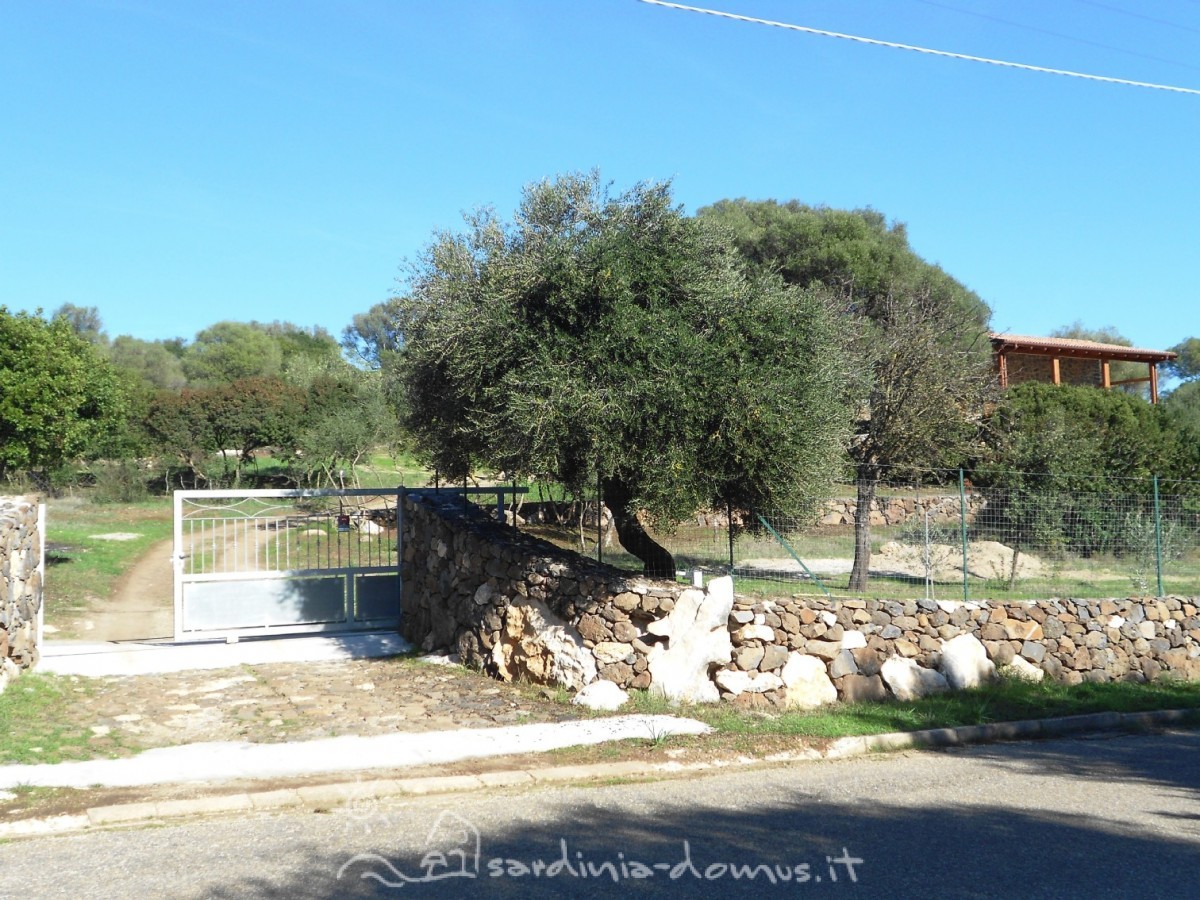 Casa Vacanza Sardegna - Casa Su Anzu A - Campagna