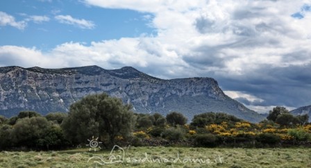 Casa Vacanza Sardegna - Casa Matteotto A - Campagna