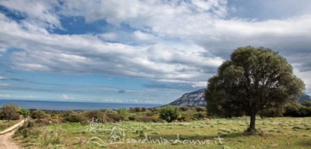 Casa Vacanza Sardegna - Casa Matteotto A - Campagna