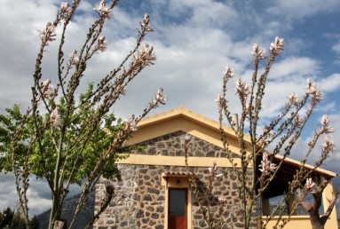 Casa Vacanza Sardegna - Casa Matteotto A - Campagna