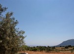 Casa Vacanza Sardegna - Casa Matteotto b - Campagna