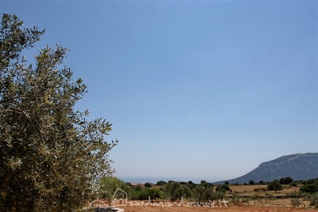 Casa Vacanza Sardegna - Casa Matteotto b - Campagna