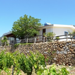 Casa Vacanza Sardegna - Casa Oddoene - campagna