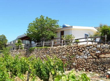 Casa Vacanza Sardegna - Casa Oddoene - campagna
