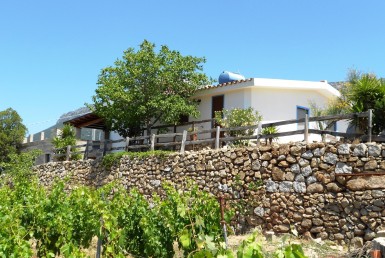 Casa Vacanza Sardegna - Casa Oddoene - campagna