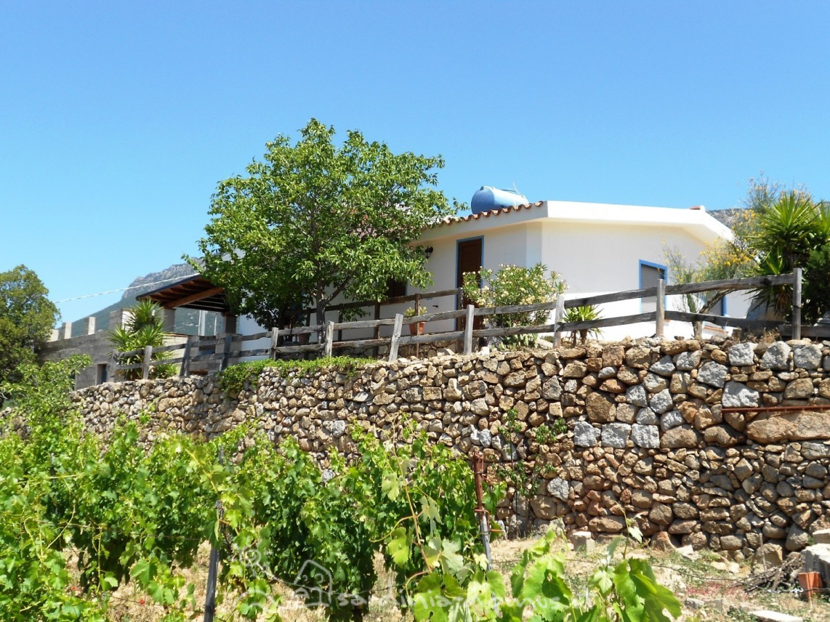 Casa Vacanza Sardegna - Casa Oddoene - campagna