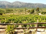 Casa Vacanza Sardegna - Casa Oddoene - campagna