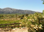 Casa Vacanza Sardegna - Casa Oddoene - campagna