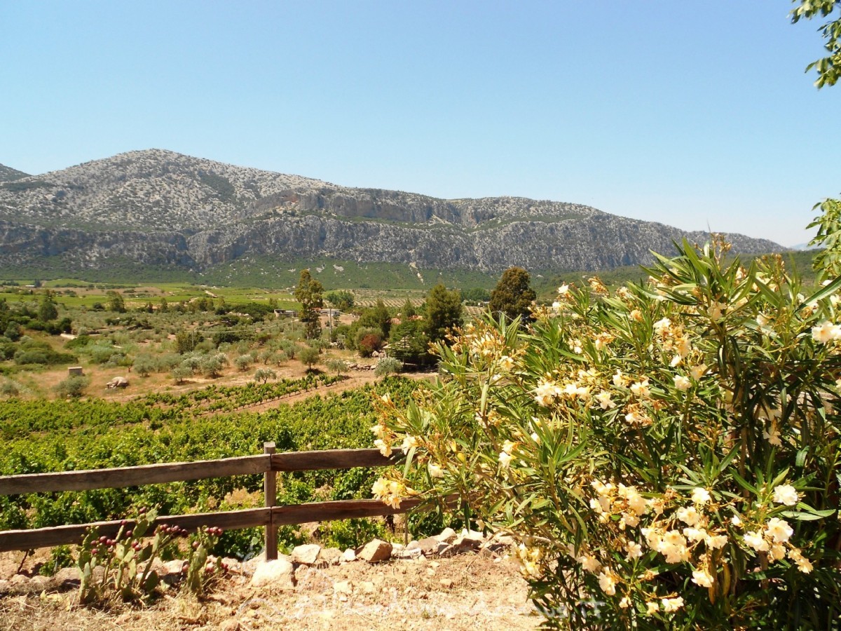 Casa Vacanza Sardegna - Casa Oddoene - campagna