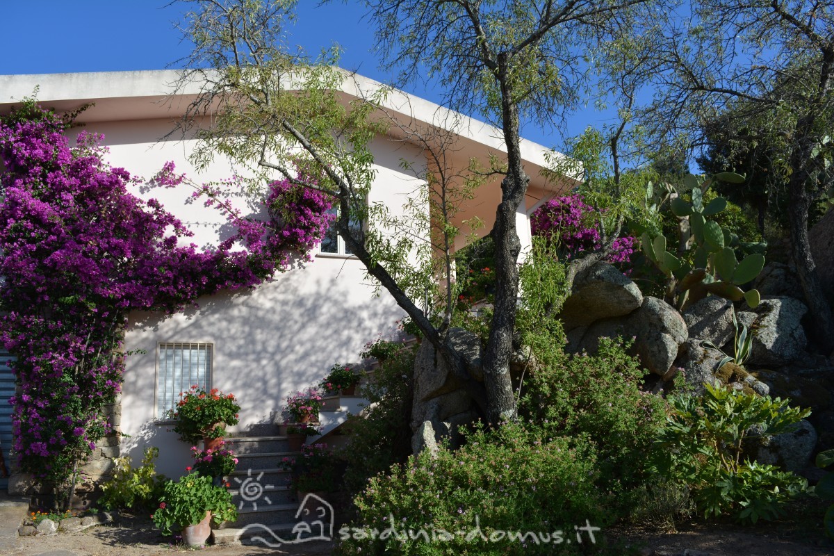 Casa-Vacanza-Sardegna-Casa-Oddoene-27