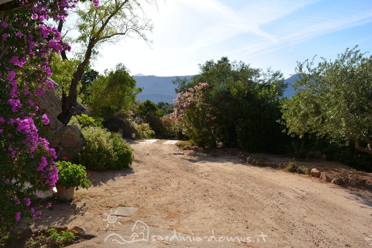 Casa-Vacanza-Sardegna-Casa-Oddoene-28