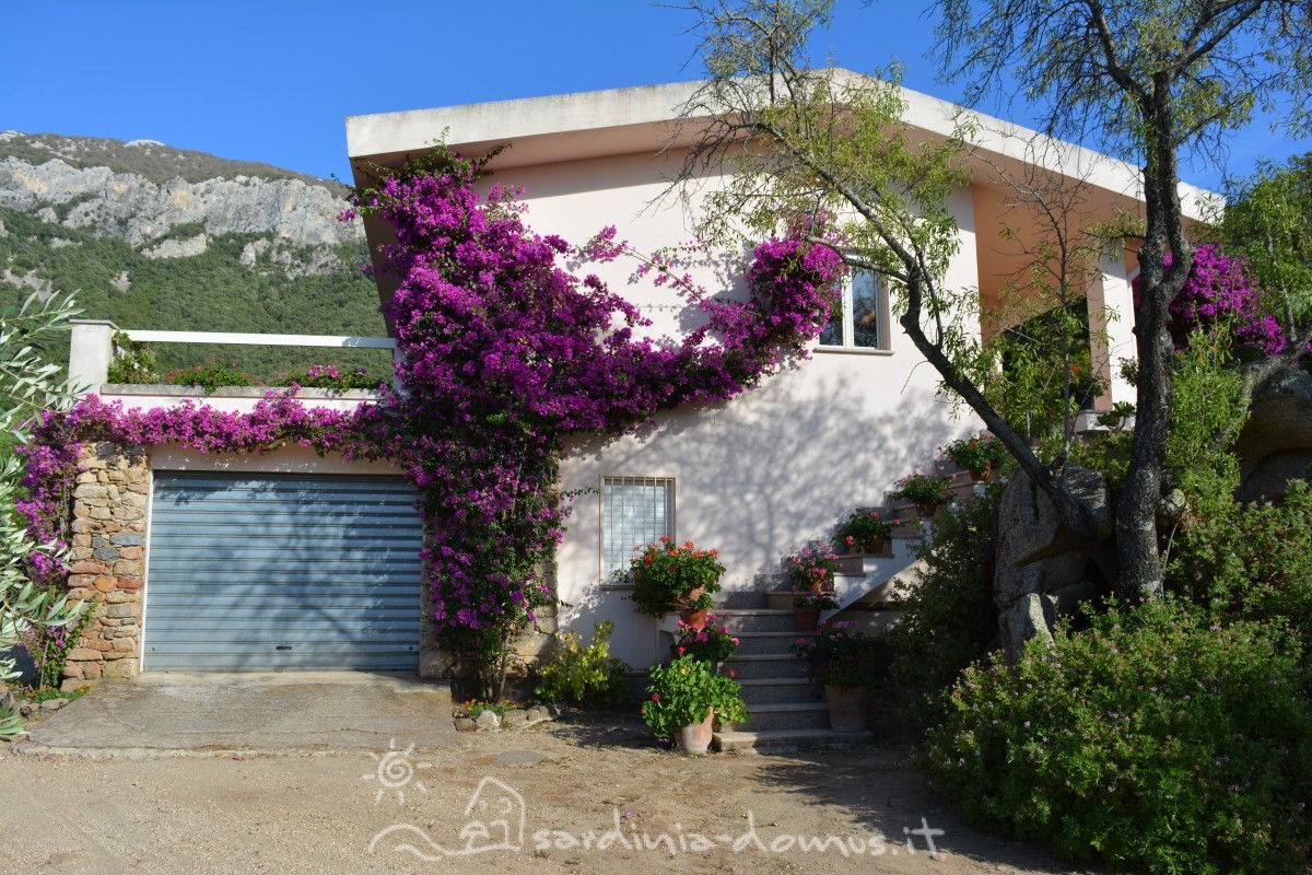 Casa-Vacanza-Sardegna-Casa-Oddoene-29