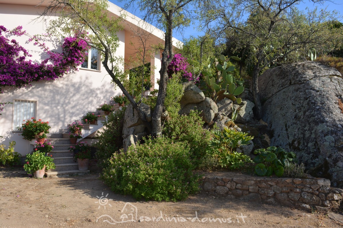 Casa-Vacanza-Sardegna-Casa-Oddoene-30