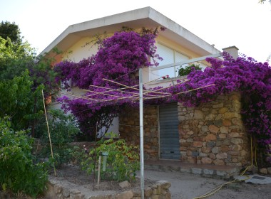 Casa-Vacanza-Sardegna-Casa-Oddoene-31