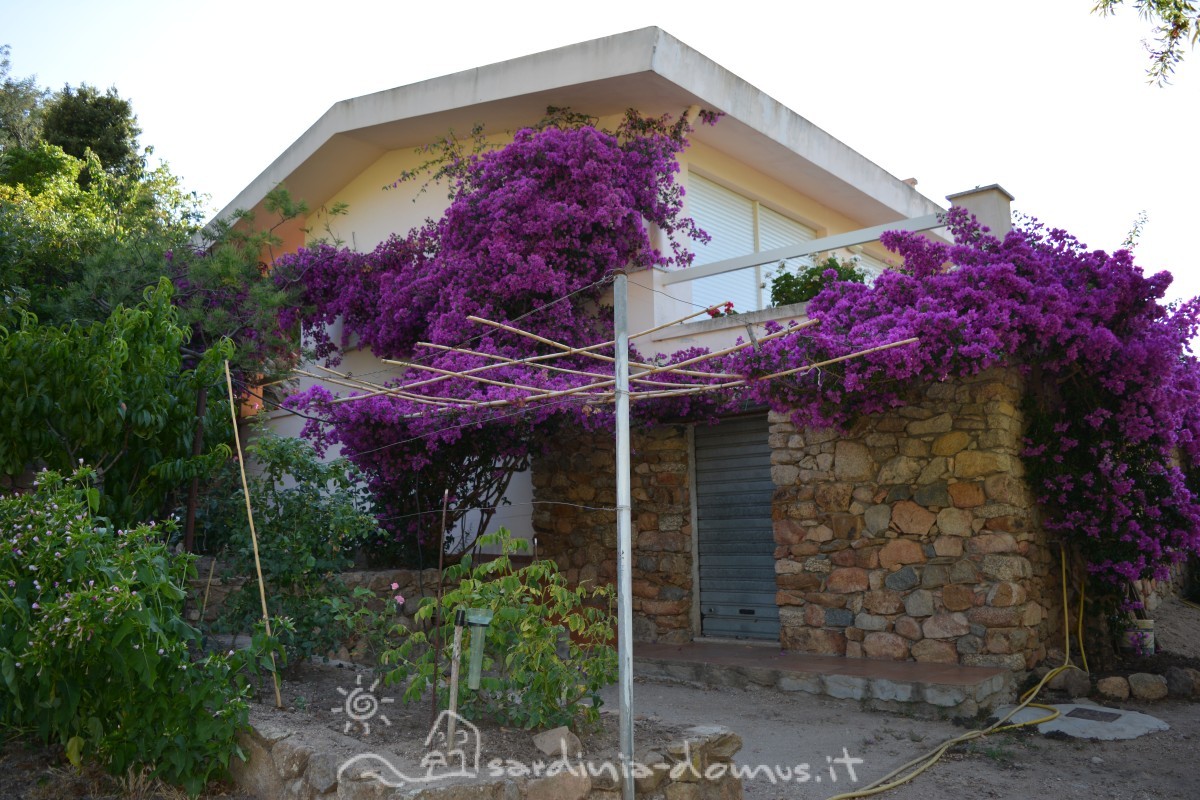 Casa-Vacanza-Sardegna-Casa-Oddoene-31