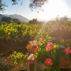 Casa-Vacanza-Sardegna-casa-canudedda-02
