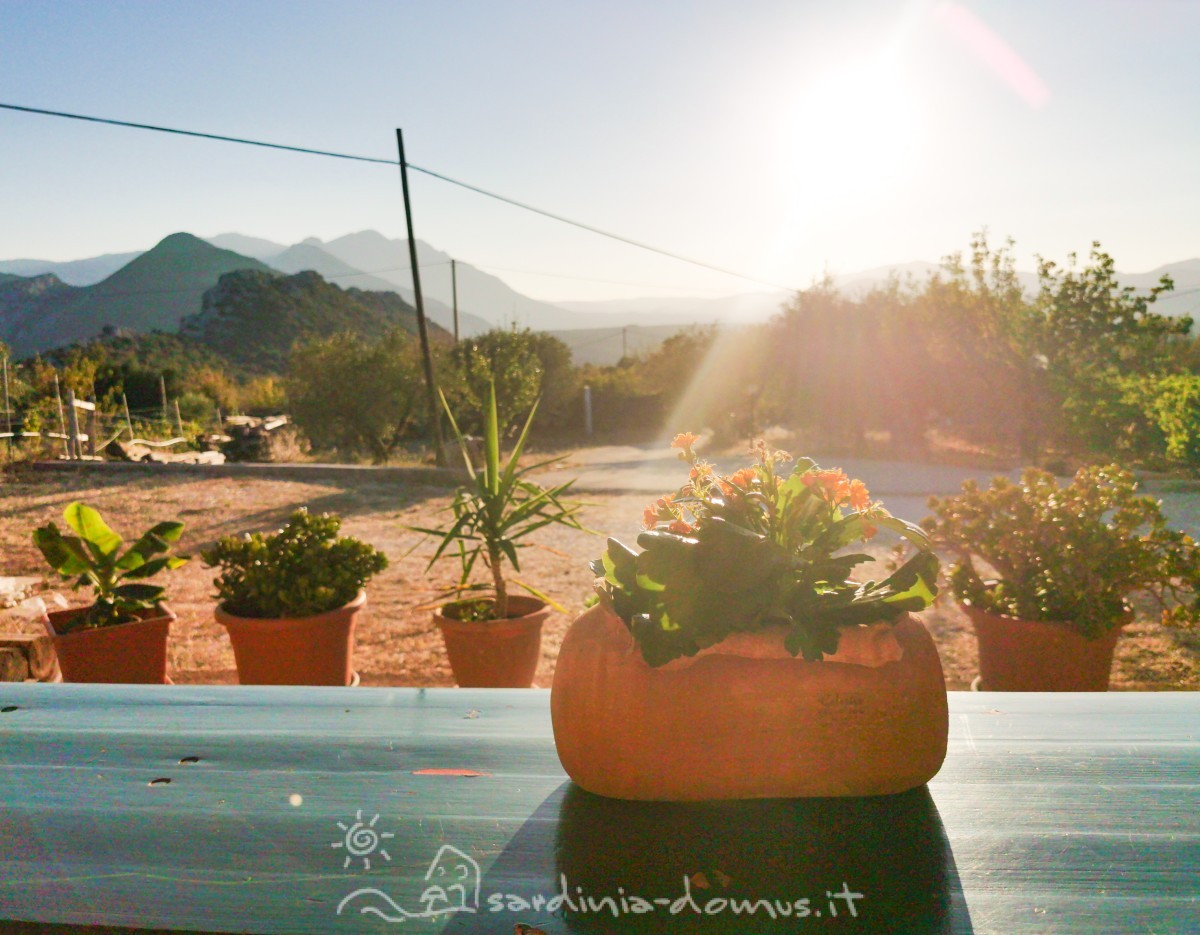 Casa-Vacanza-Sardegna-casa-canudedda-04