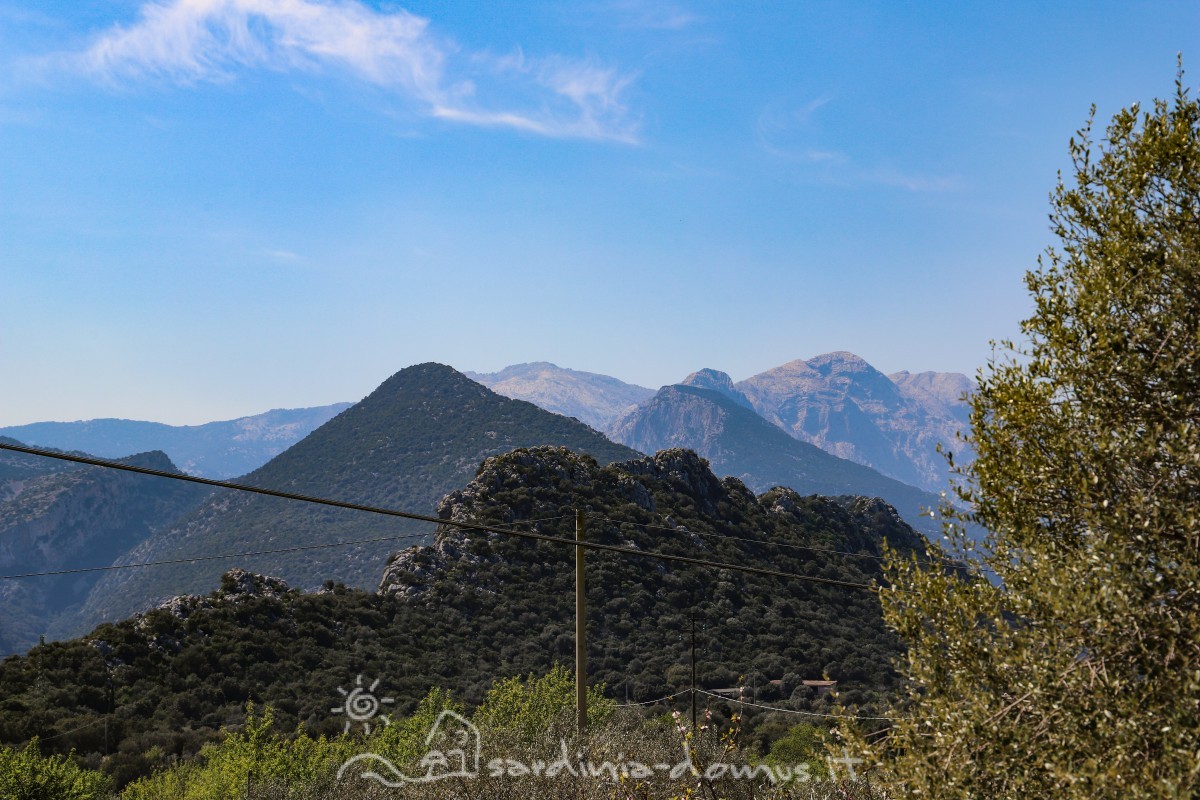 Casa-Vacanza-Sardegna-casa-canudedda-21