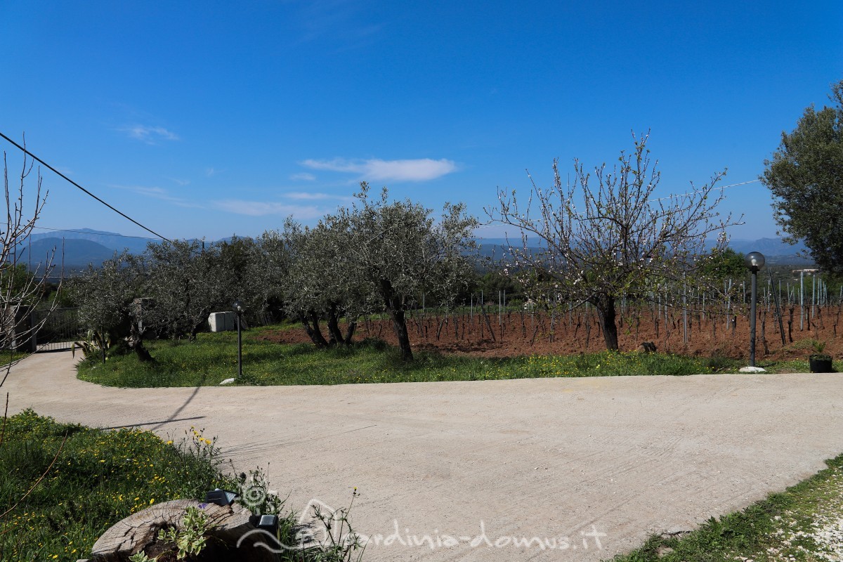 Casa-Vacanza-Sardegna-casa-canudedda-23