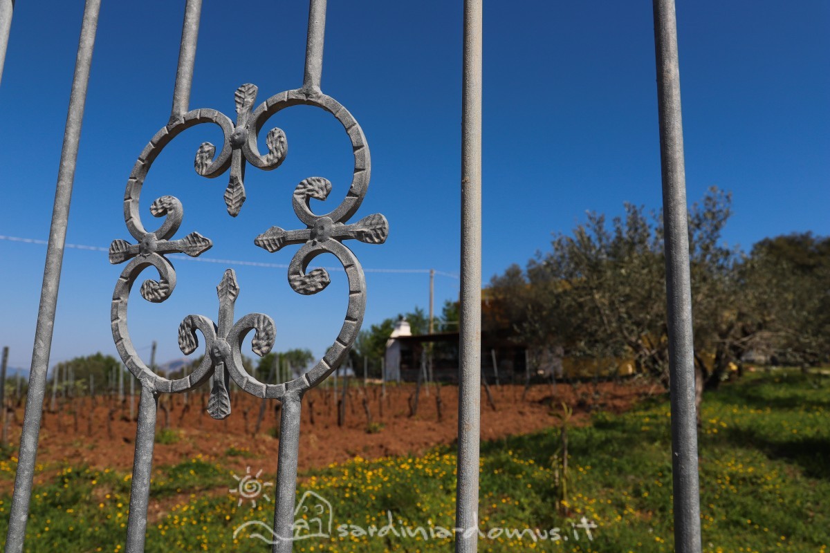 Casa-Vacanza-Sardegna-casa-canudedda-25