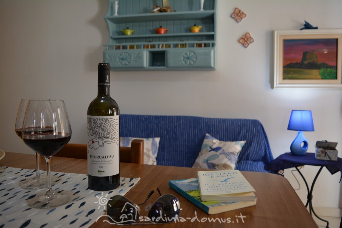 Casa-Vacanza-Sardegna-casa-carlotta-53